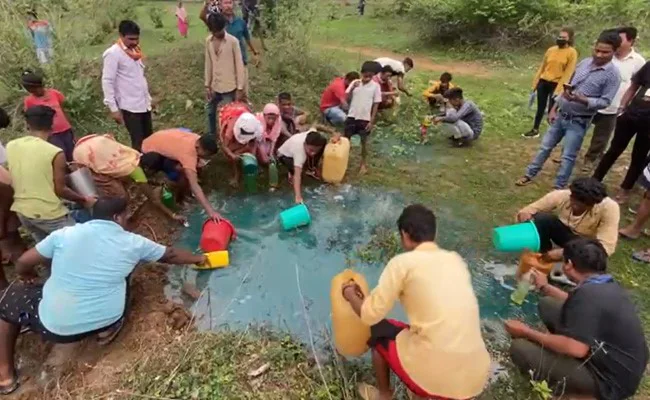 छत्तीसगढ़ में मिला