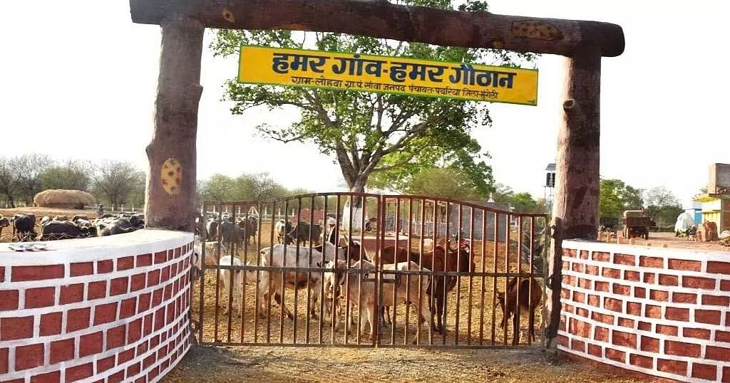 छत्तीसगढ़ में स्वावलंबी होते 'गौठान' बने रोजगार के केंद्र, गोधन न्याय योजना बनी ग्रामीण अर्थ व्यवस्था की रीढ़