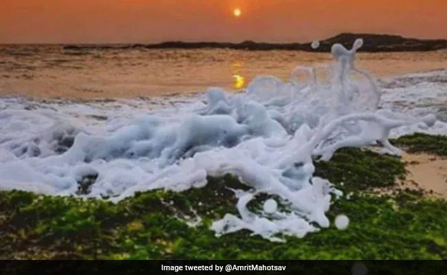 प्रकृति में दिखा तिरंगा का शानदार नज़ारा, लोगों ने कहा- सारे जहां से अच्छा, हिन्दोस्तां हमारा!